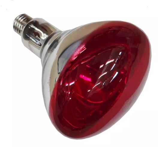 LAMP12653525